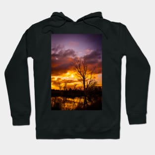 Sunset by the lake Hoodie